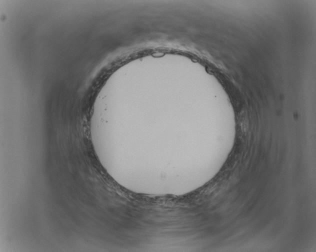 X0000067511495200605051816