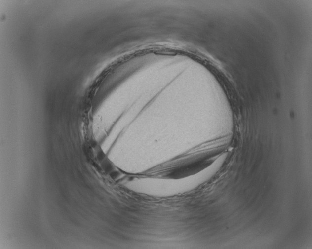 X0000067511496200605051816