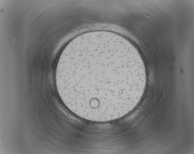 X0000067511498200605051816