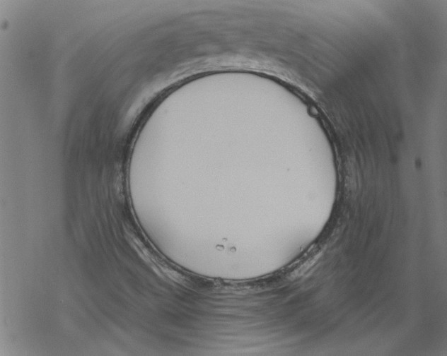 X0000067511499200605051816