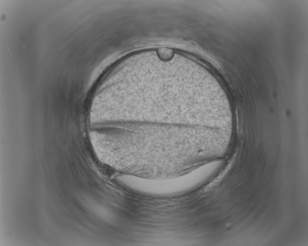 X0000067511501200605051816