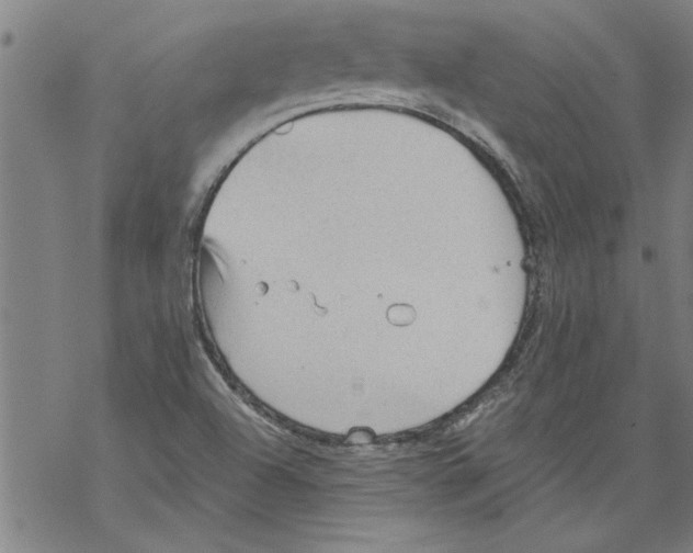 X0000067511504200605051816