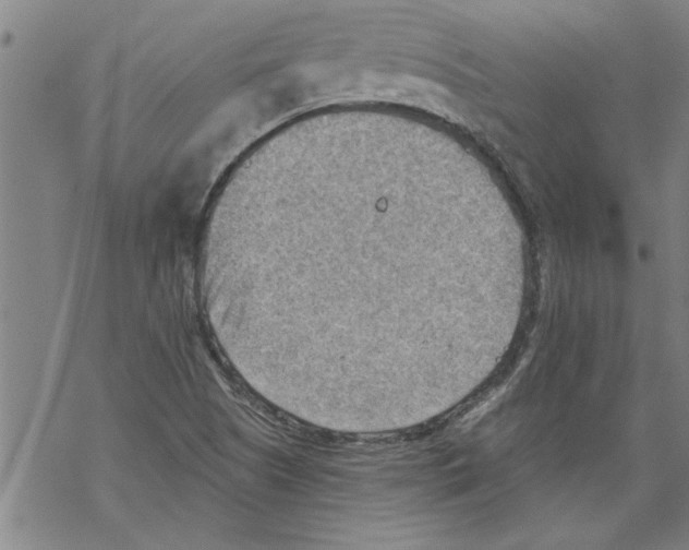 X0000067511505200605051816