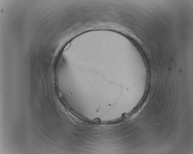 X0000067511506200605051816