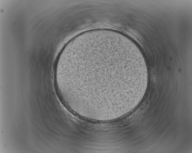 X0000067511508200605051816