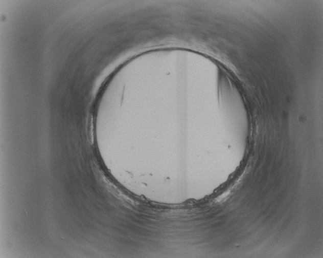 X0000067511510200605051816