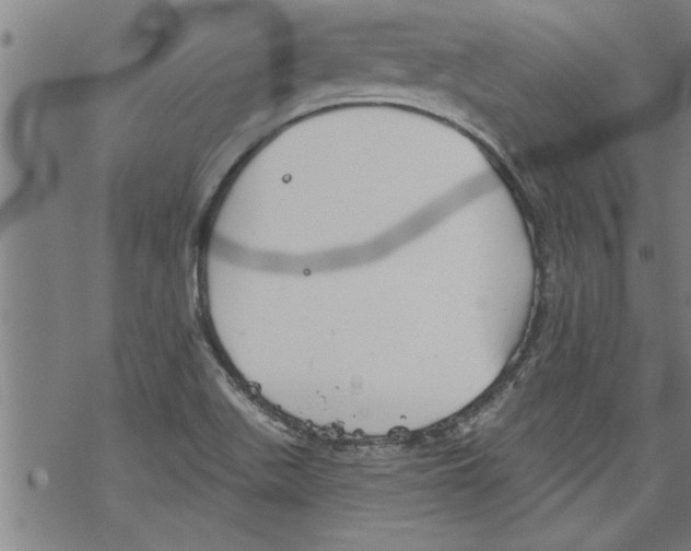 X0000067511511200605051816