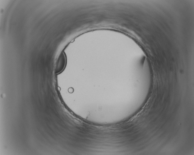 X0000067511512200605051816