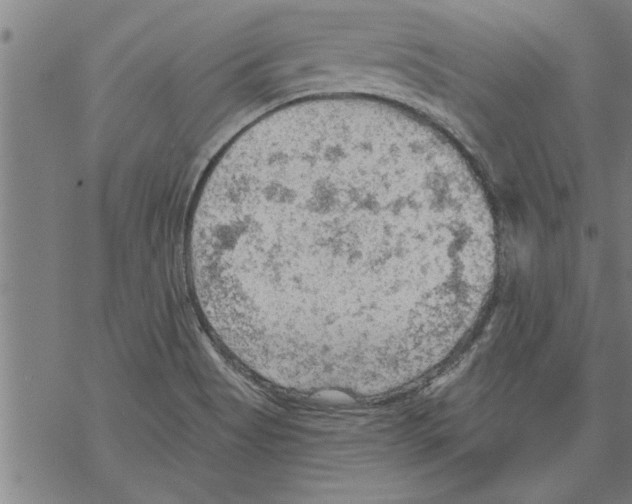 X0000067511513200605051816