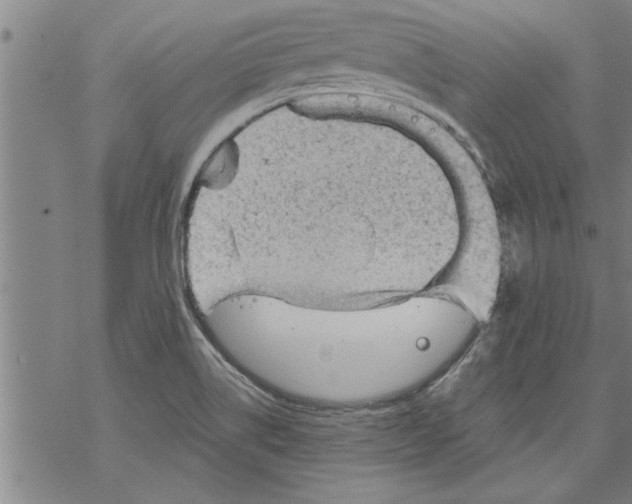 X0000067511514200605051816