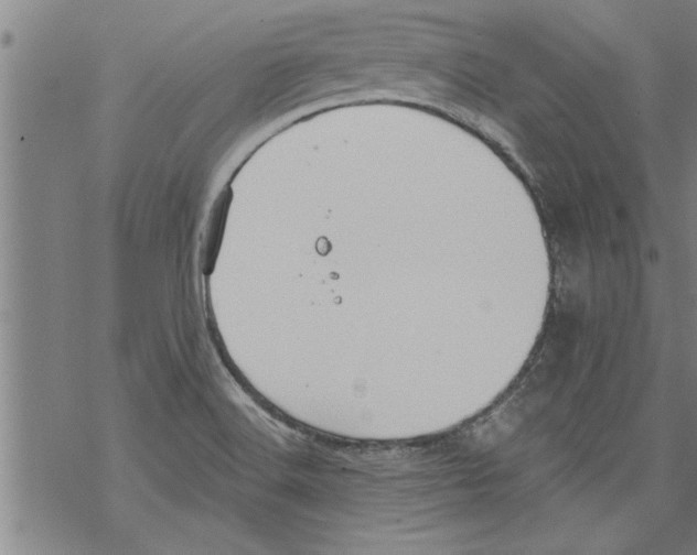 X0000067511516200605051816