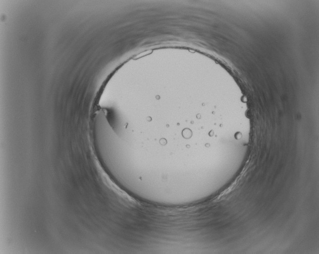 X0000067511518200605051816