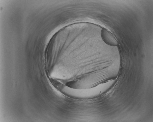 X0000067511519200605051816