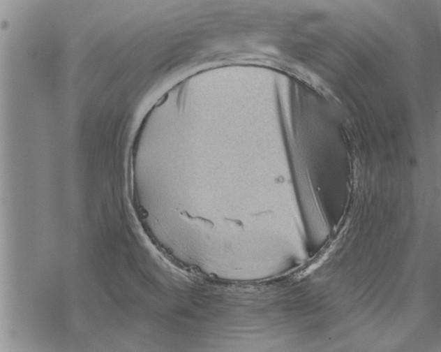 X0000067511520200605051816