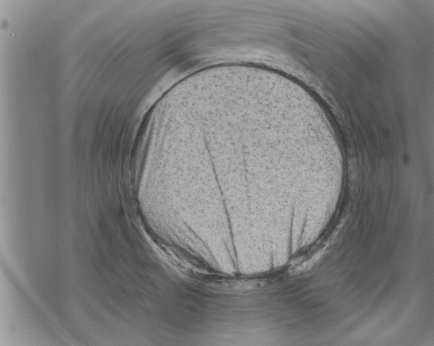 X0000067511521200605051816