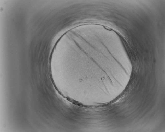 X0000067511527200605051816