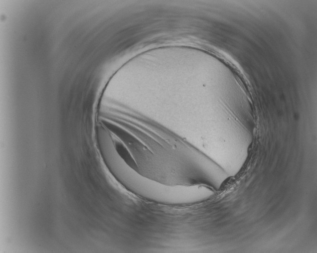 X0000067511528200605051816