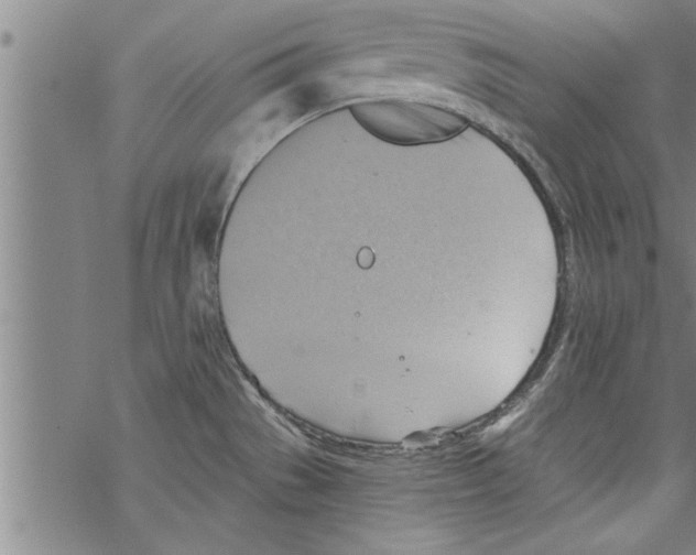 X0000067511529200605051816