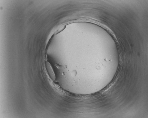 X0000067511530200605051816