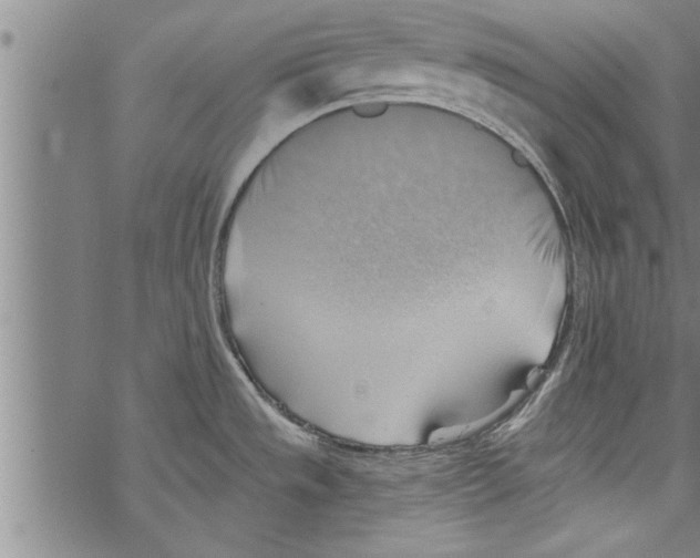 X0000067511533200605051816