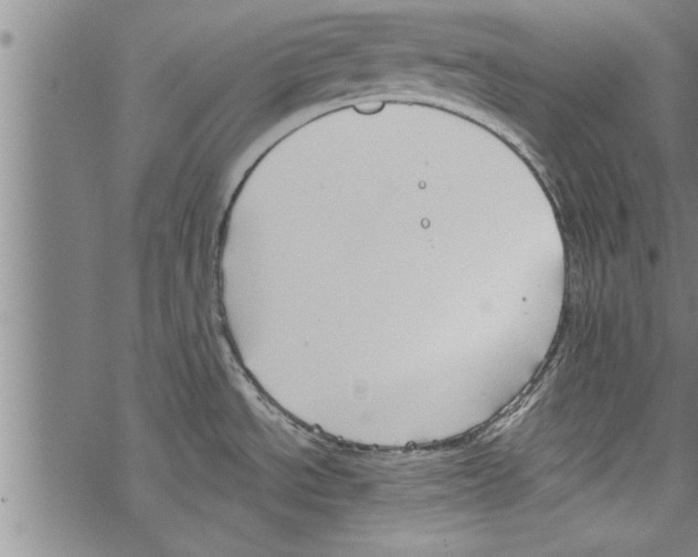 X0000067511534200605051816