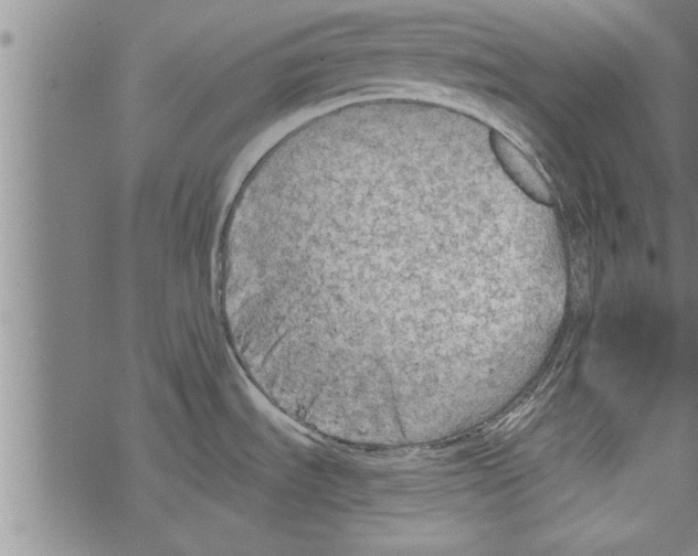 X0000067511535200605051816