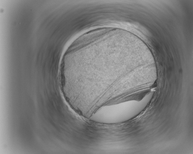 X0000067511536200605051816