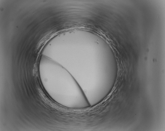 X0000067520002200604071036