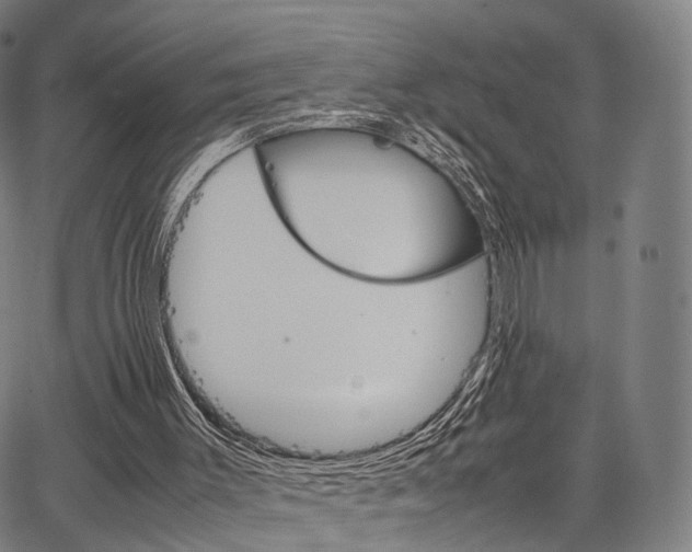 X0000067520003200604071036