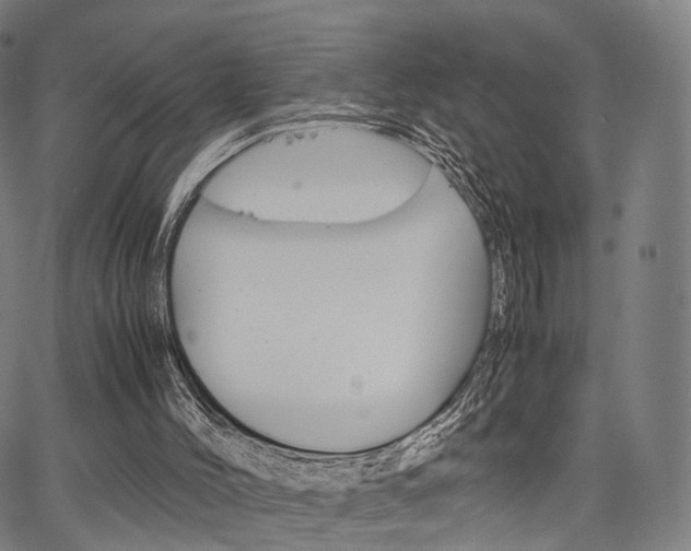 X0000067520004200604071036