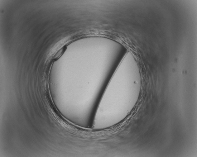 X0000067520005200604071036