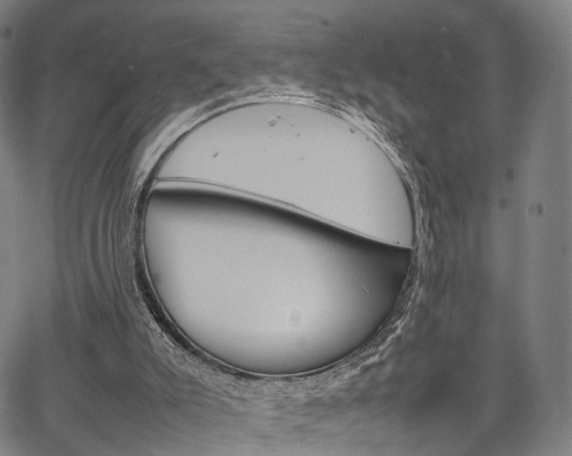 X0000067520007200604071036