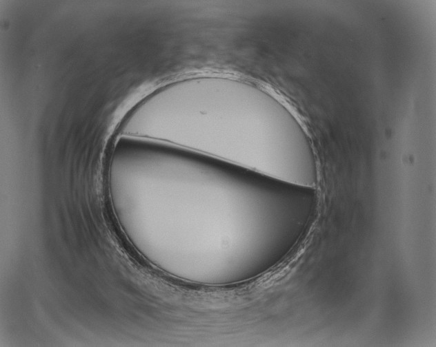 X0000067520008200604071036