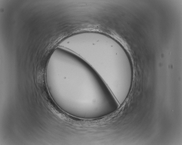 X0000067520009200604071036