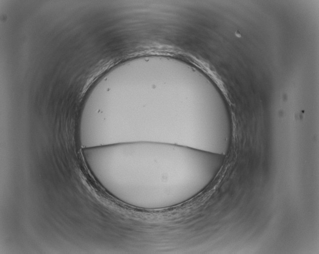 X0000067520010200604071036