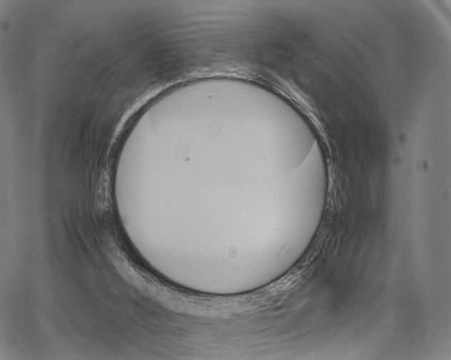 X0000067520012200604071035