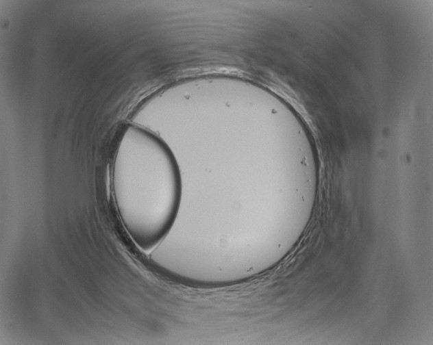 X0000067520013200604071035