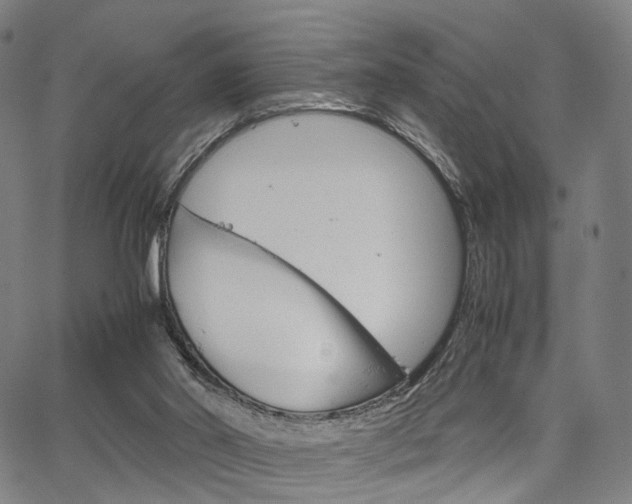 X0000067520014200604071035