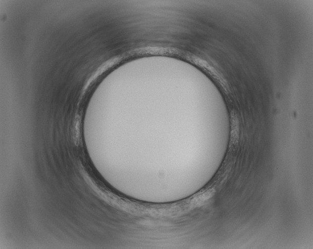 X0000067520016200604071035