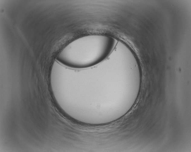 X0000067520017200604071035