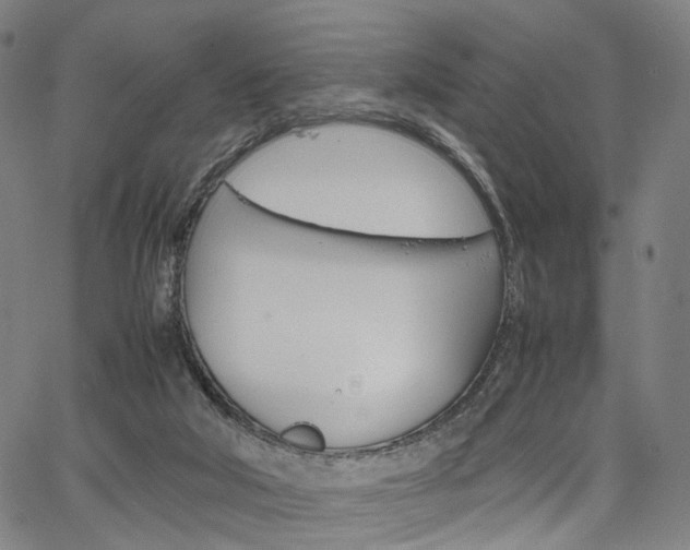 X0000067520018200604071035