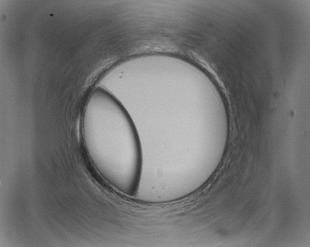 X0000067520019200604071035