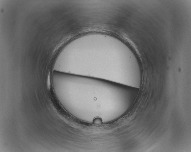 X0000067520020200604071035