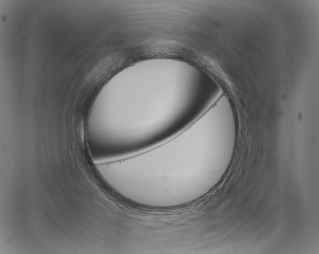 X0000067520021200604071035