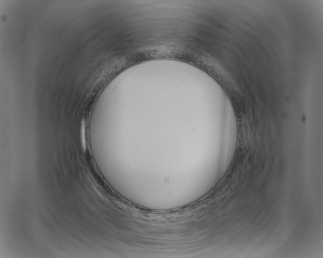 X0000067520022200604071035