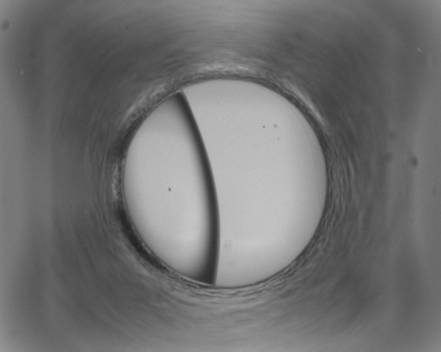 X0000067520023200604071035