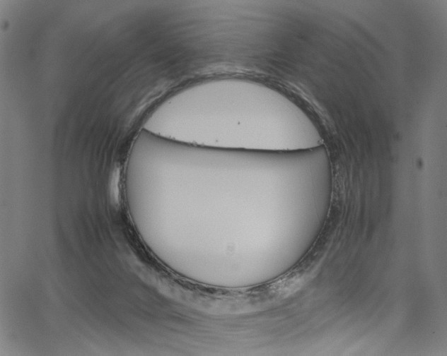 X0000067520024200604071035