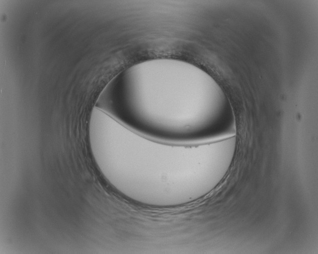 X0000067520025200604071035