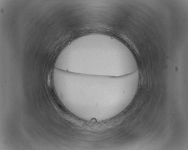 X0000067520026200604071035