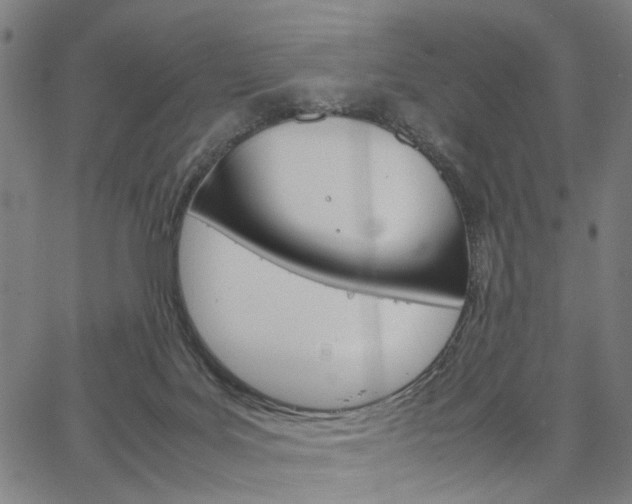 X0000067520027200604071035